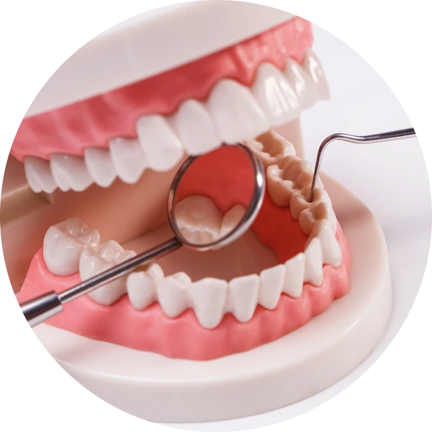 Omnipratique : le cabinet dentaire La Bastide à L'Isle-sur-la-Sorgue
